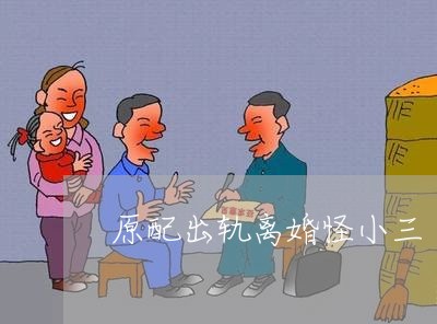 原配出轨离婚怪小三/2023110398280