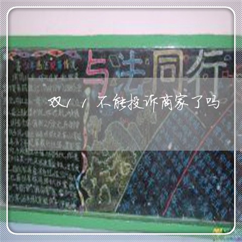 双11不能投诉商家了吗/2023030304705