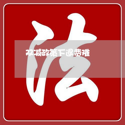 双减政策下退费难/2023060260614