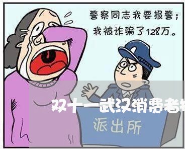 双十一武汉消费者投诉/2023031822816