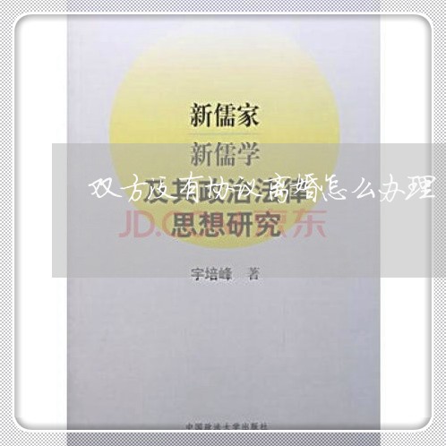 双方没有协议离婚怎么办理/2023111460491