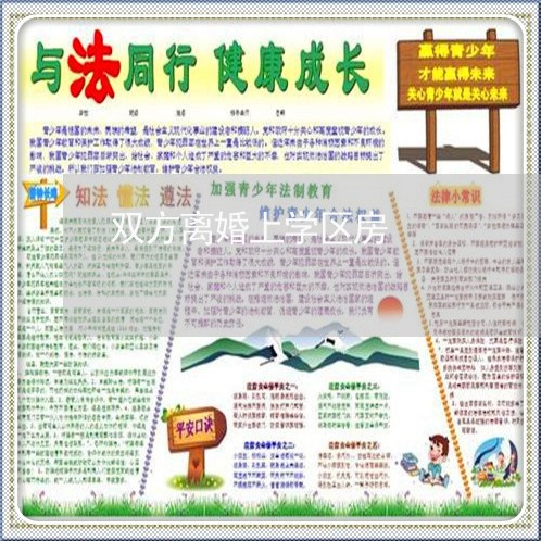 双方离婚上学区房/2023092472705