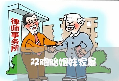 双胞胎姐妹家暴/2023090648361