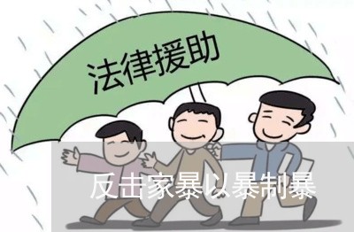 反击家暴以暴制暴/2023100904936