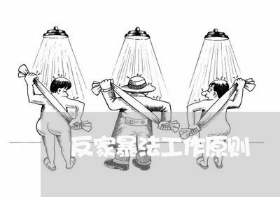 反家暴法工作原则/2023101297278