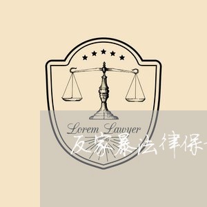 反家暴法律保护/2023121895039