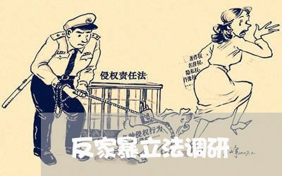 反家暴立法调研/2023091318501