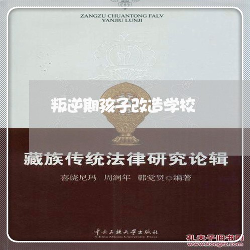 叛逆期孩子改造学校/2023031569614