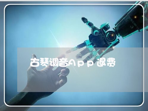 古琴调音App退费/2023052850471