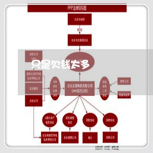 只是欠钱太多/2023100794705