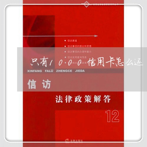 只有1000信用卡怎么还/2023082485057