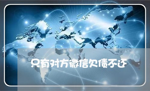 只有对方微信欠债不还/2023111872816