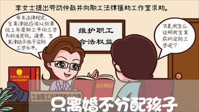 只离婚不分配孩子/2023092315128