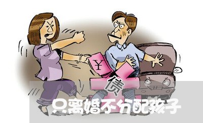 只离婚不分配孩子/2023092349251