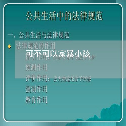 可不可以家暴小孩/2023101481483