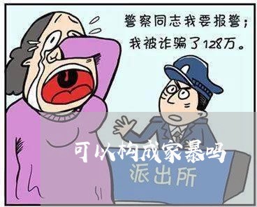 可以构成家暴吗/2023090903038