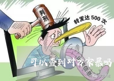 可以查到对方家暴吗/2023110859573