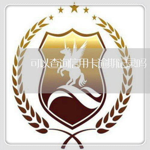 可以查询信用卡逾期记录吗/2023050315131