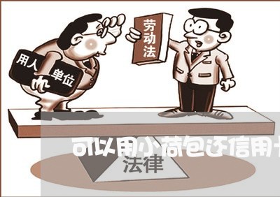 可以用小荷包还信用卡/2023102771415