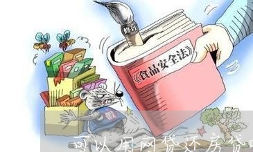 可以用网贷还房贷吗/2023111595148