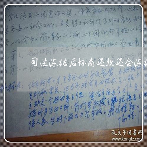 司法冻结后协商还款还会冻结吗/2023100696268