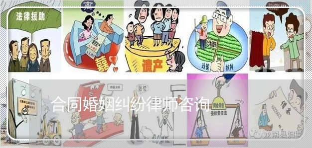 合同婚姻纠纷律师咨询/2023112517481