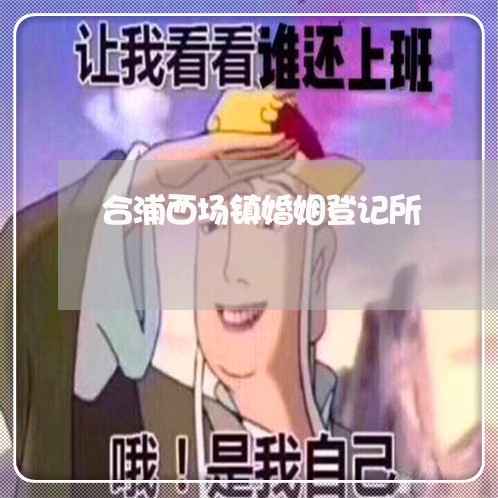 合浦西场镇婚姻登记所/2023081628269