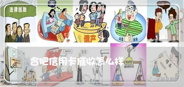 合肥信用卡催收怎么样/2023072404028