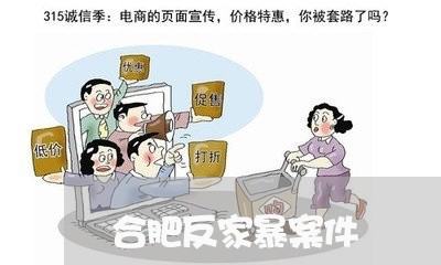 合肥反家暴案件/2023091420380