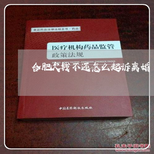 合肥欠钱不还怎么起诉离婚/2023111005069