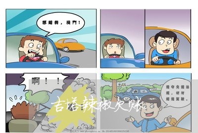 吉塔辣椒欠账/2023121761704