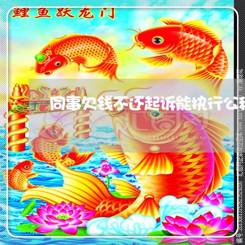 同事欠钱不还起诉能执行公积金吗/2023092760504