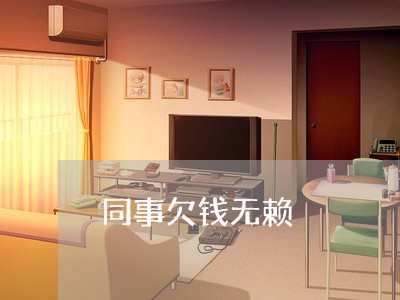 同事欠钱无赖/2023100942625