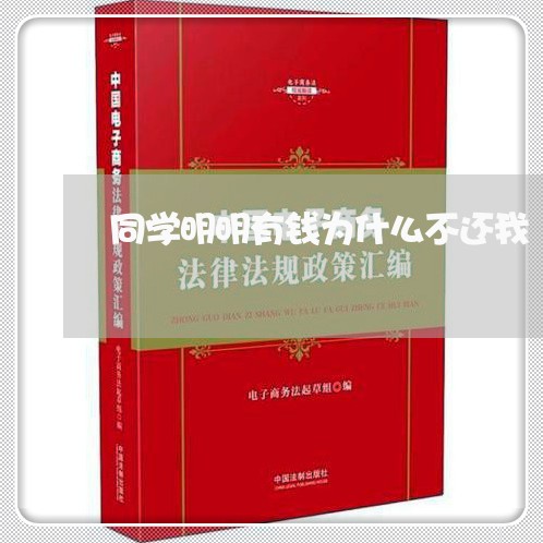 同学明明有钱为什么不还我/2023092936058