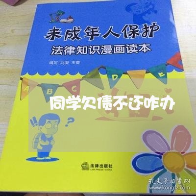 同学欠债不还咋办/2023111151405