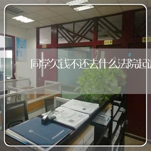 同学欠钱不还去什么法院起诉/2023110291503