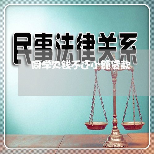 同学欠钱不还小额贷款/2023112393935