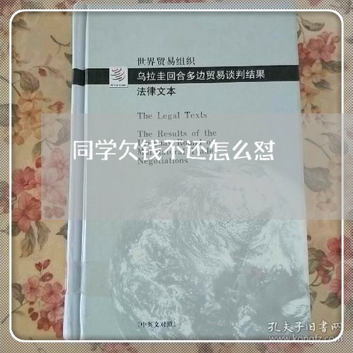 同学欠钱不还怎么怼/2023111539251