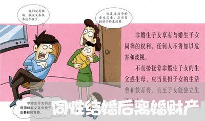 同性结婚后离婚财产/2023110538268