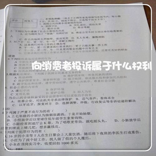 向消费者投诉属于什么权利/2023022100515