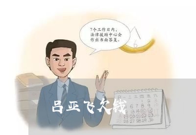 吕亚飞欠钱/2023120896926