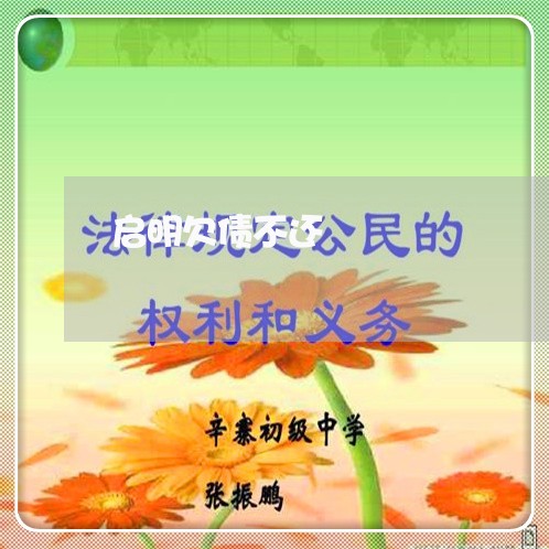 启明欠债不还/2023111188483