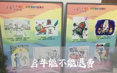 启牛能不能退费/2023041990613