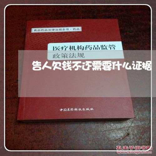 告人欠钱不还需要什么证据/2023093072815