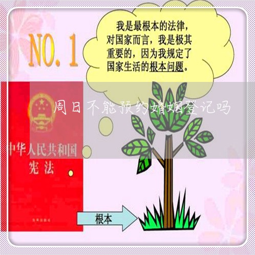 周日不能预约婚姻登记吗/2023112624059