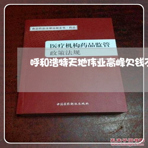 呼和浩特天地伟业高峰欠钱不还/2023091558251