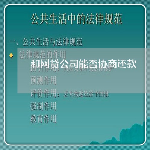 和网贷公司能否协商还款/2023100594823