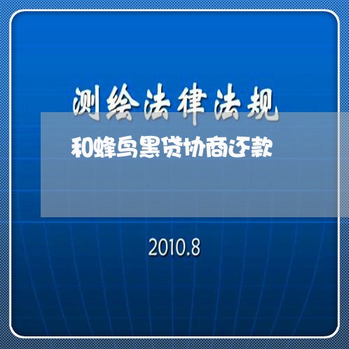 和蜂鸟黑贷协商还款/2023101763079