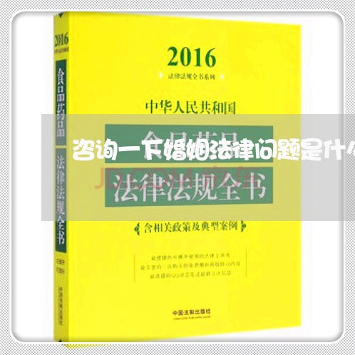 咨询一下婚姻法律问题是什么/2023111472726