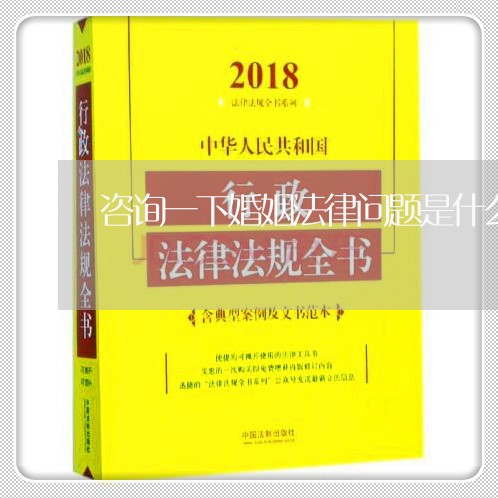 咨询一下婚姻法律问题是什么/2023111473536